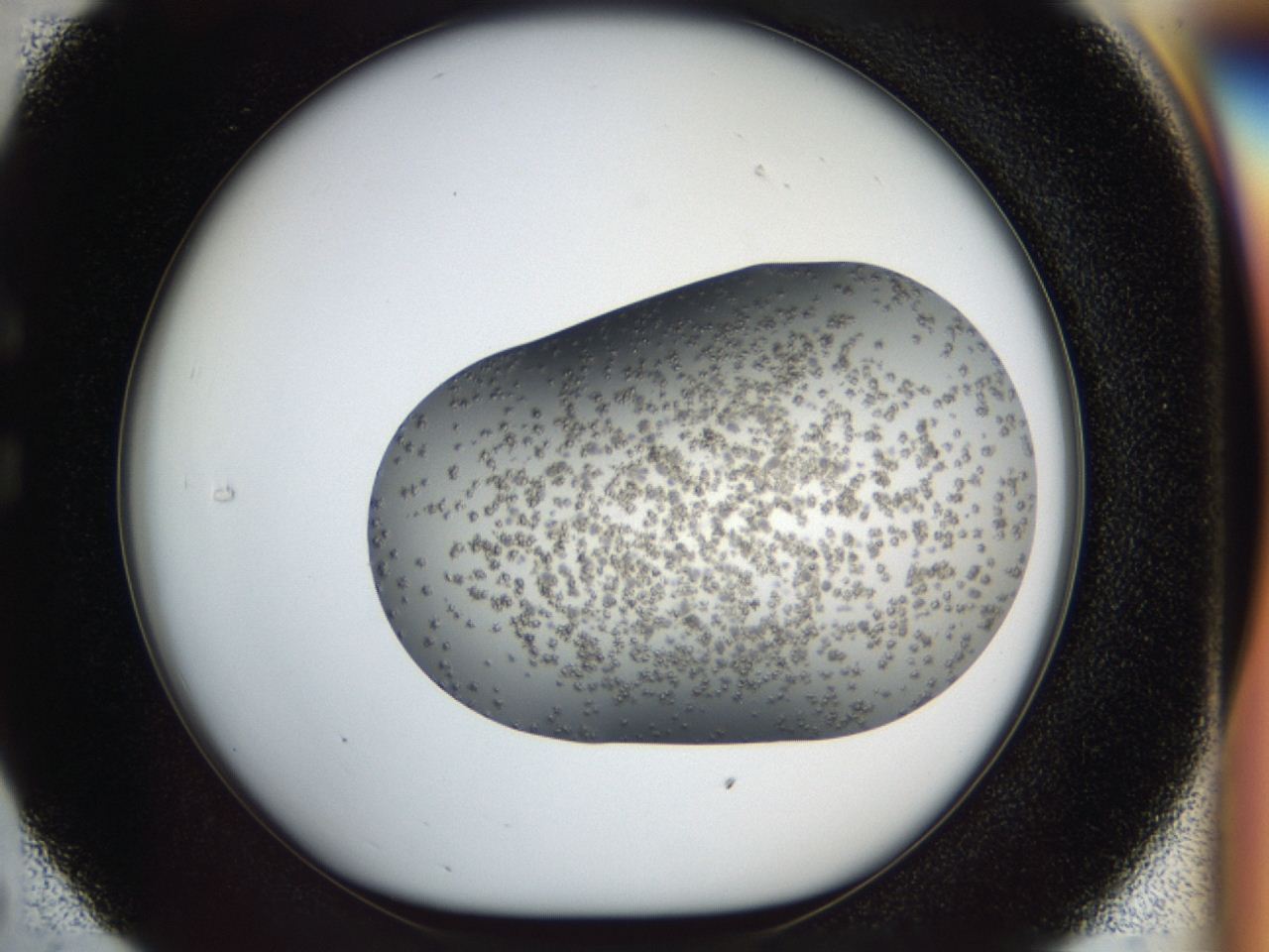 04hf_C5_ImagerDefaults_8.jpg