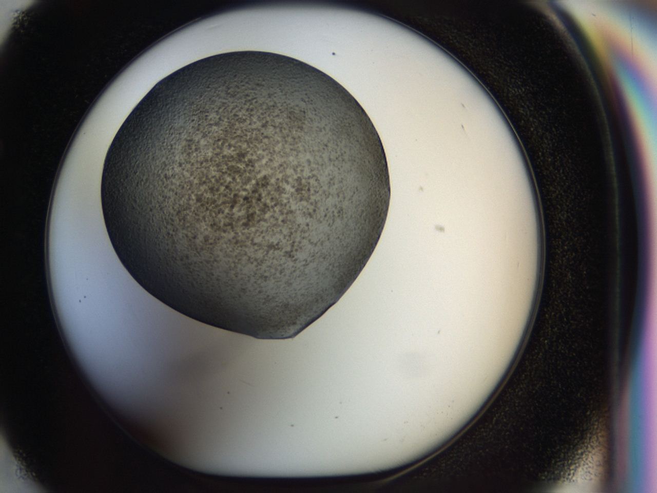 04hf_F5_ImagerDefaults_8.jpg