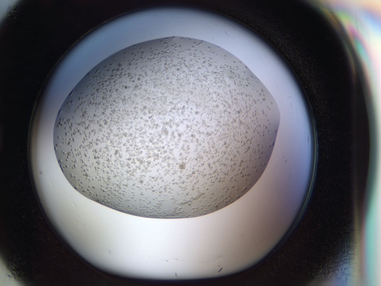 04hf_G8_ImagerDefaults_8.jpg
