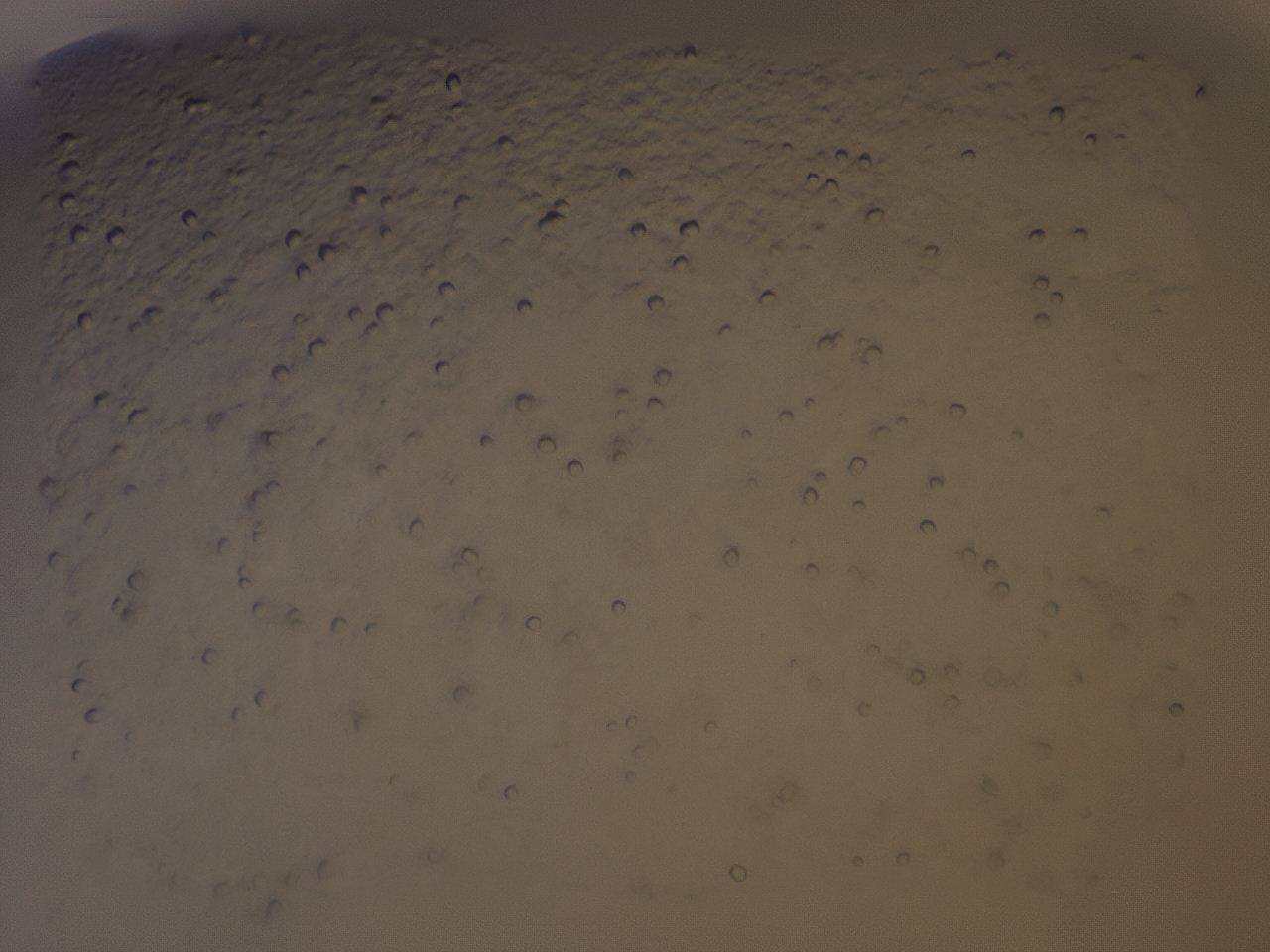 04hg_E3_ImagerDefaults_8.jpg
