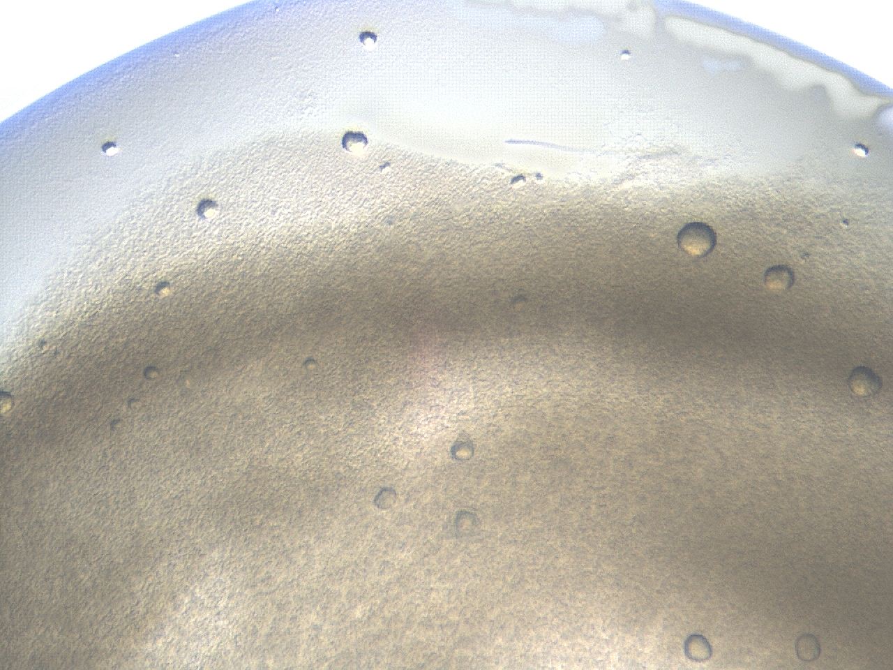 04hh_E4_ImagerDefaults_8.jpg
