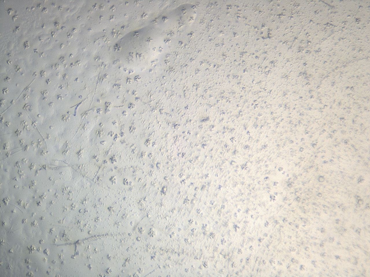 04hj_C7_ImagerDefaults_8.jpg