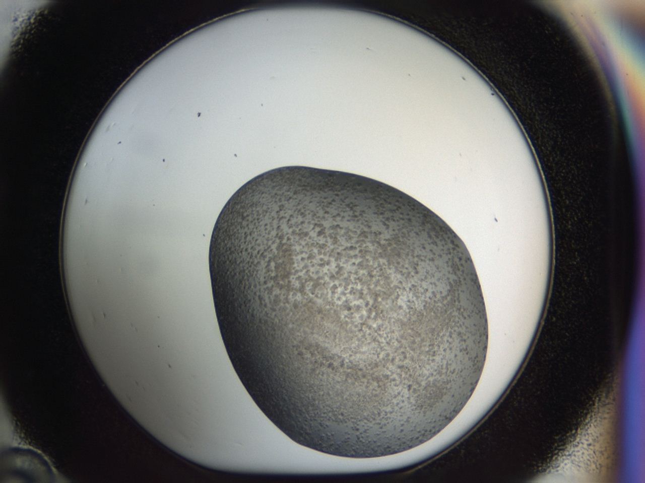 04hj_D10_ImagerDefaults_8.jpg