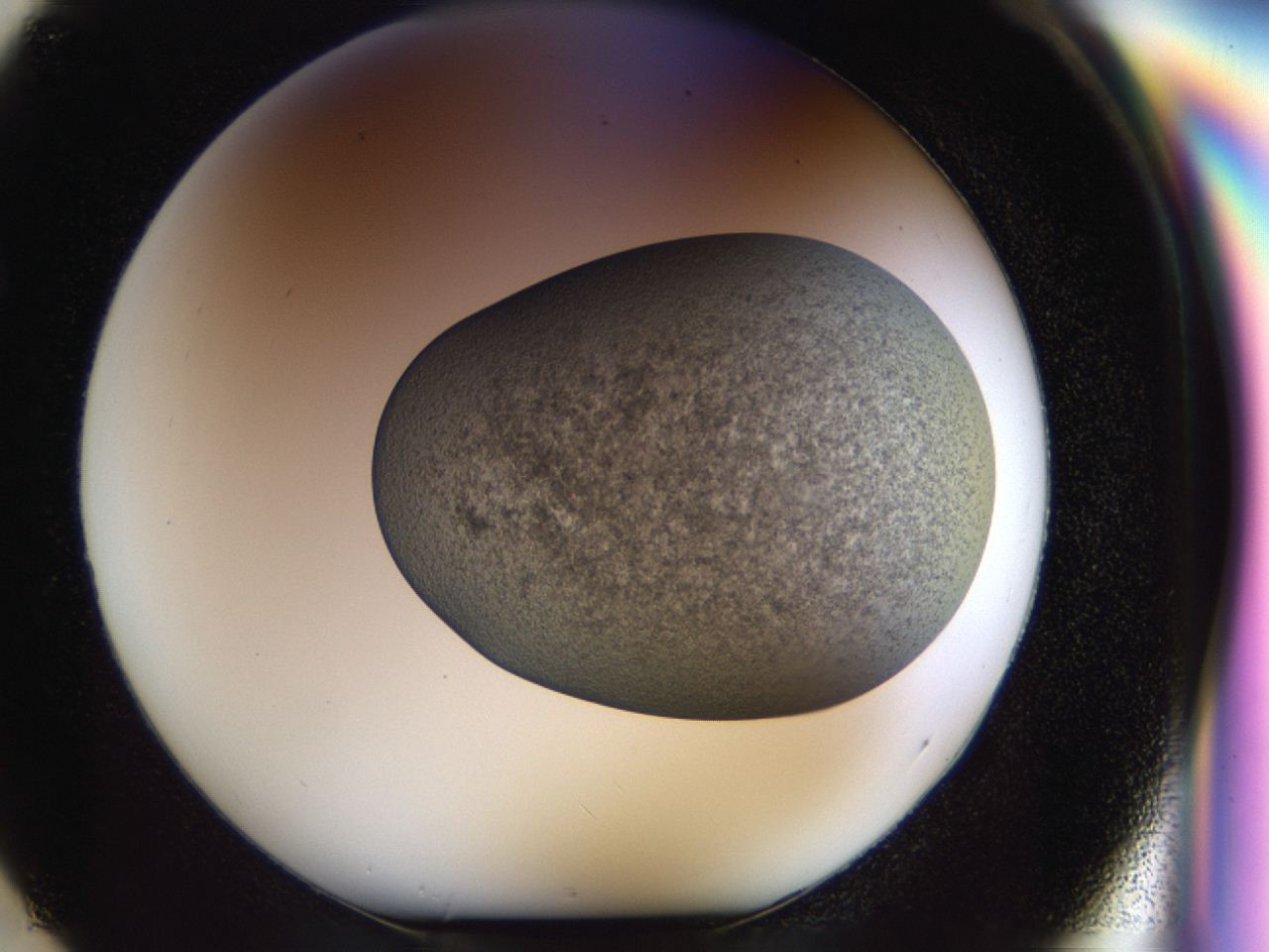 04hj_F2_ImagerDefaults_8.jpg