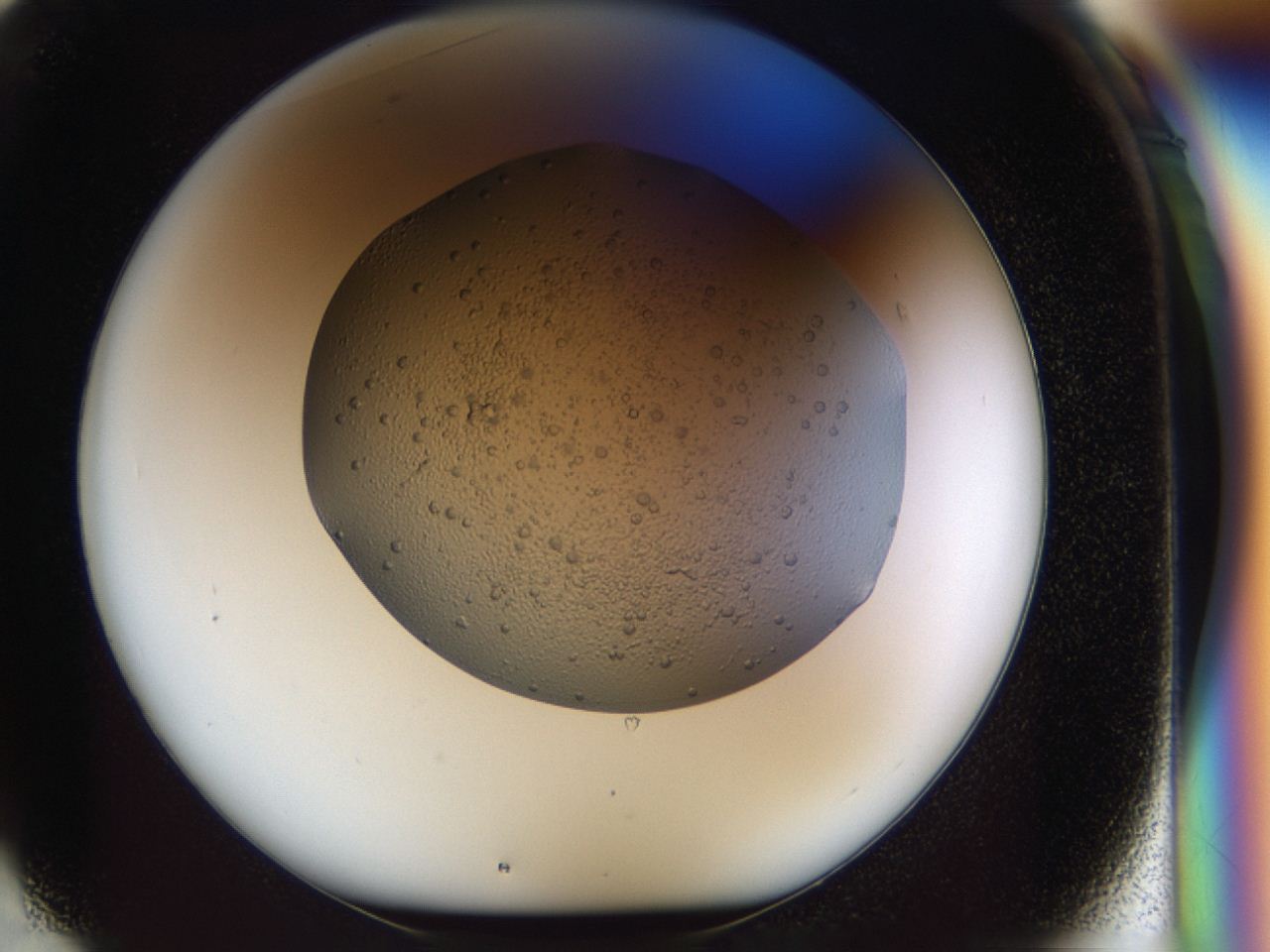 04hj_F1_ImagerDefaults_8.jpg