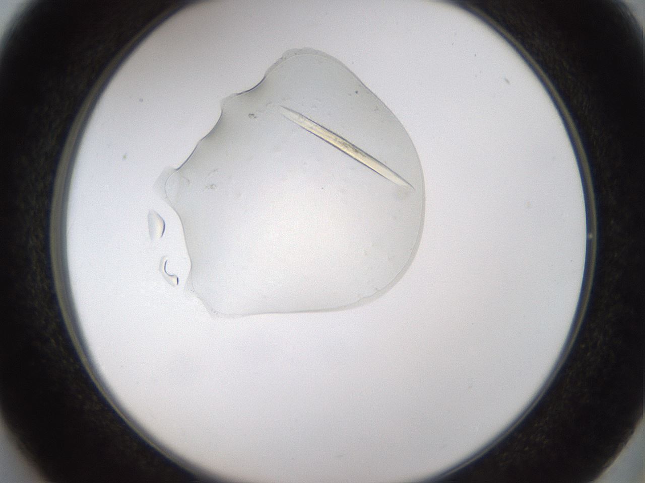 folderID367_plateID1367_batchID4809_wellNum37_profileID1_d2_r83033_ef.jpg