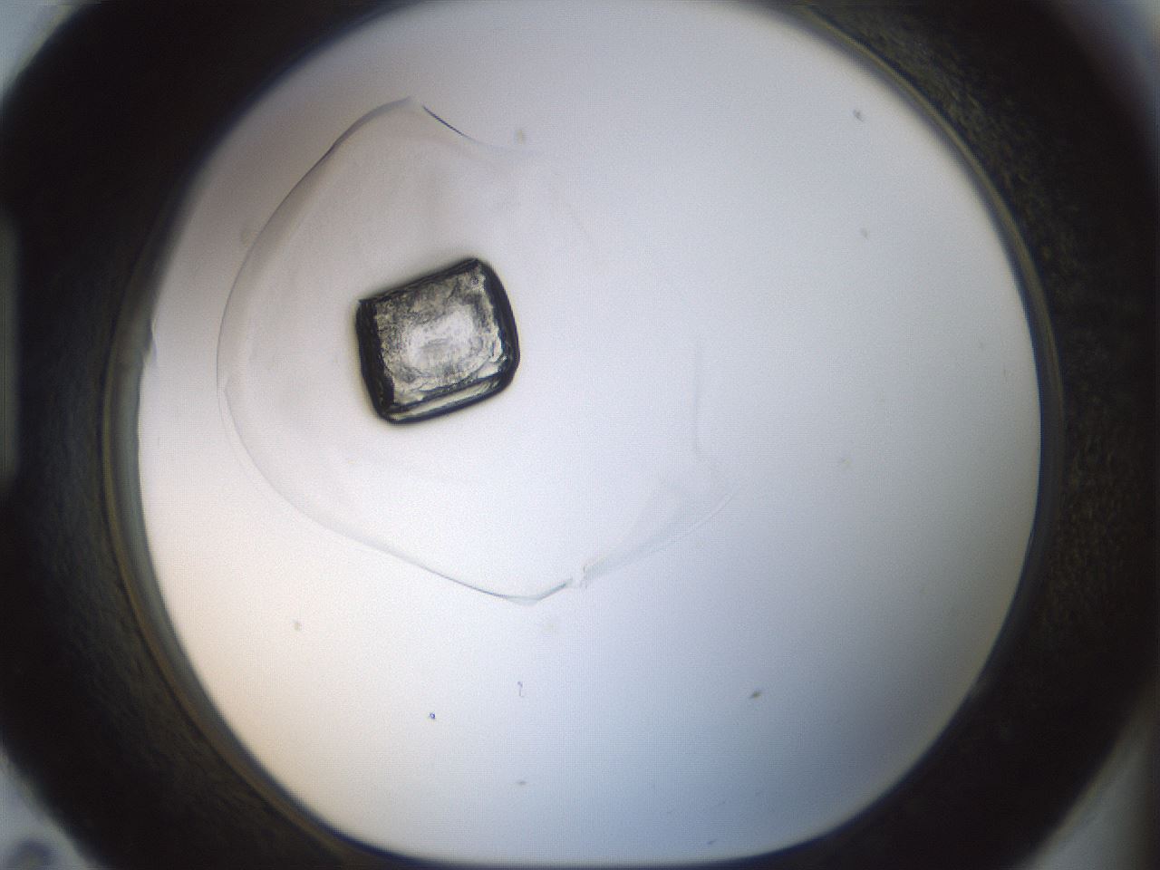folderID153_plateID1153_batchID3766_wellNum95_profileID1_d1_r63195_ef.jpg