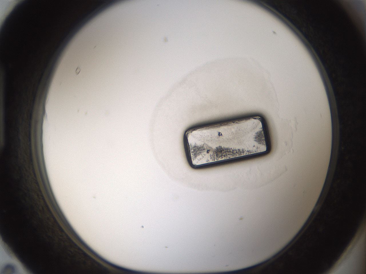 folderID963_plateID1963_batchID8685_wellNum95_profileID1_d1_r132946_ef.jpg