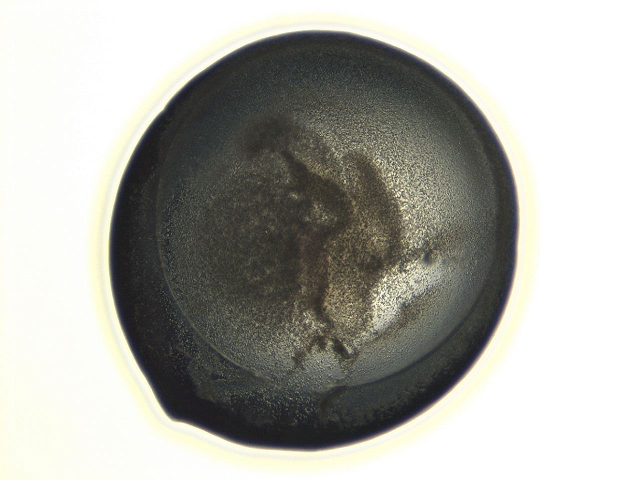 04hn_G10_ImagerDefaults_3.jpg