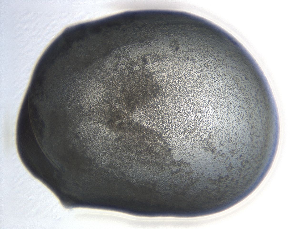 04hn_H4_ImagerDefaults_3.jpg