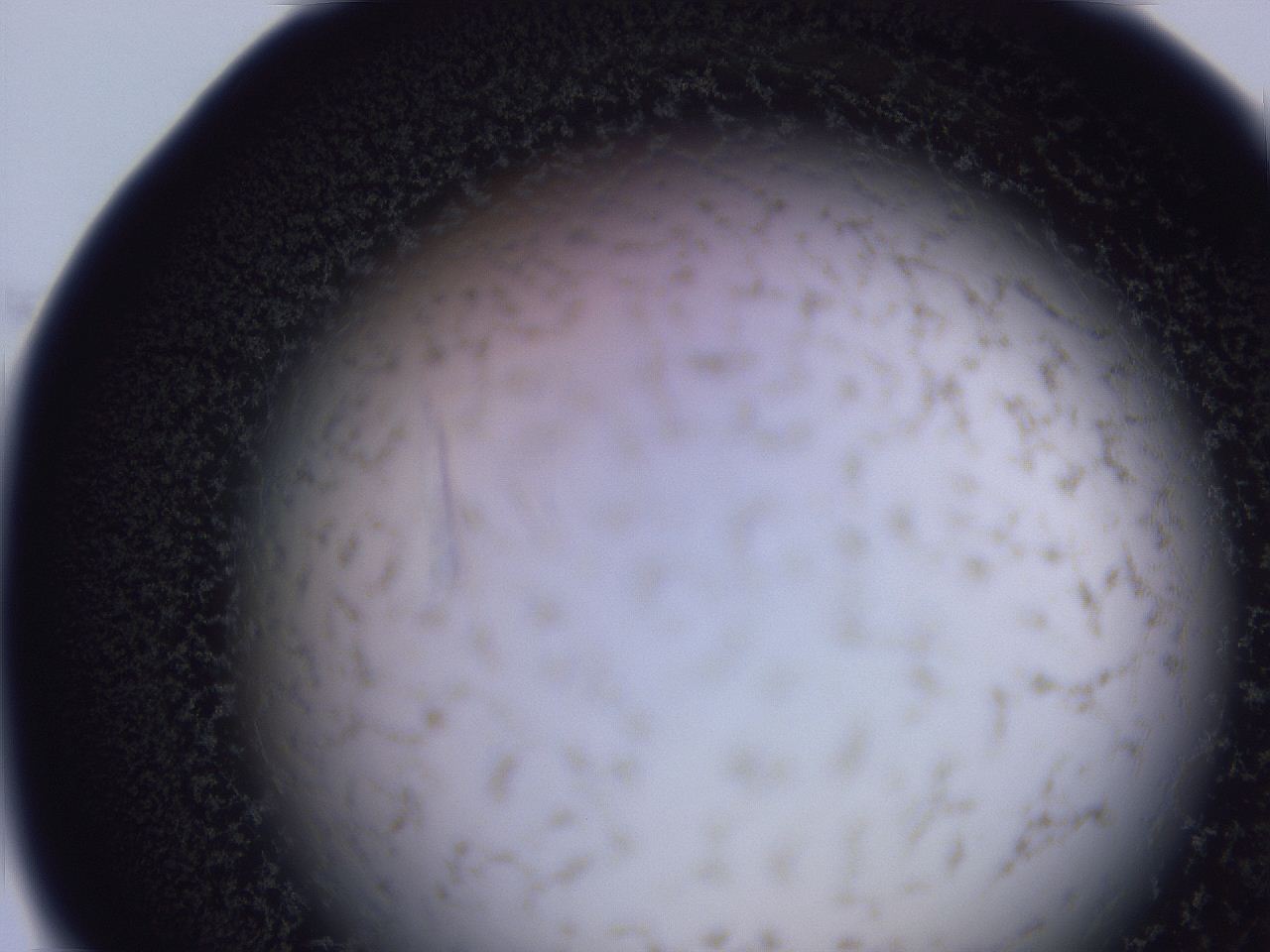 04ho_C1_ImagerDefaults_3.jpg