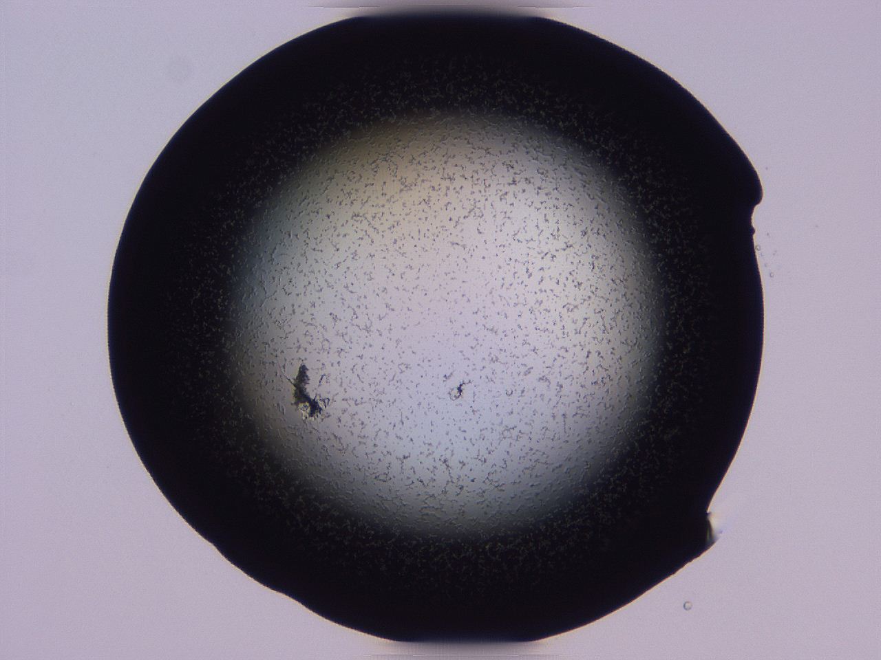 04ho_C2_ImagerDefaults_3.jpg