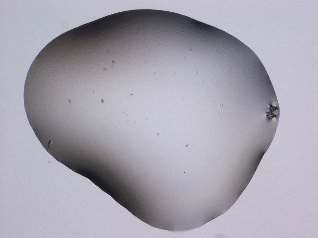 04ho_A11_ImagerDefaults_0.jpg