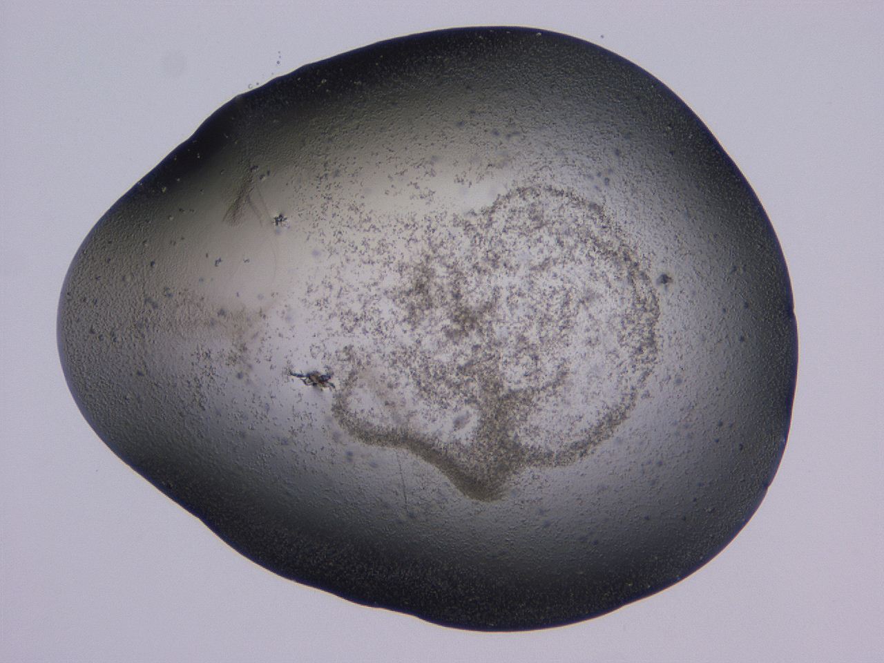 04ho_B12_ImagerDefaults_3.jpg