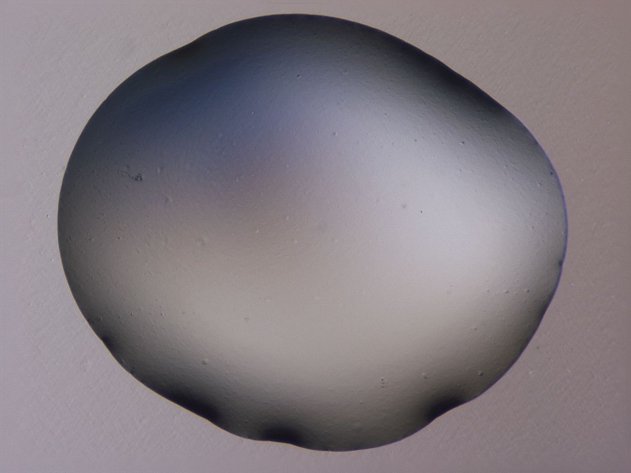 04ho_A9_ImagerDefaults_0.jpg