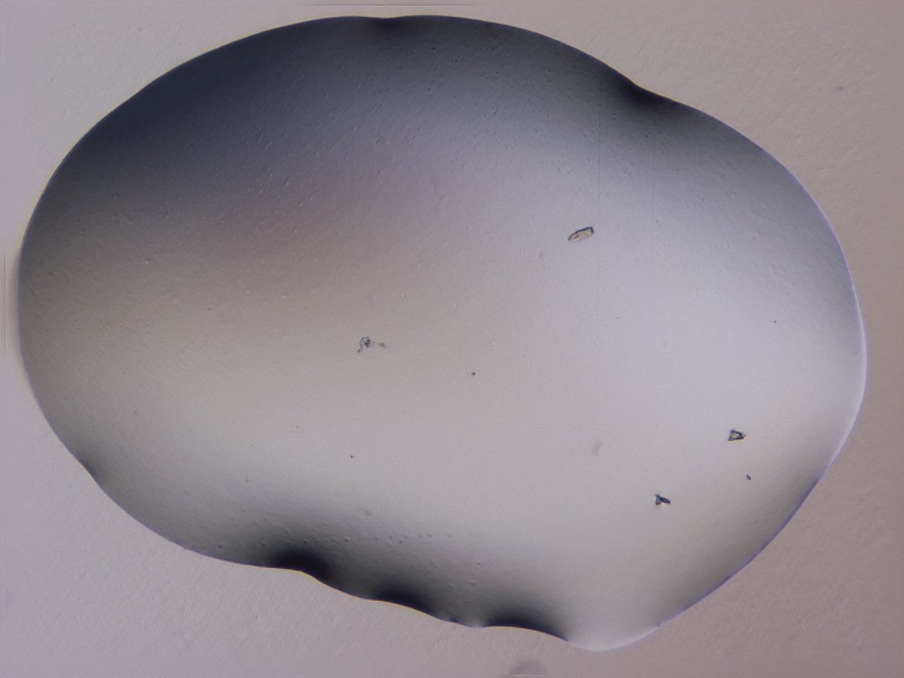 04ho_A8_ImagerDefaults_0.jpg