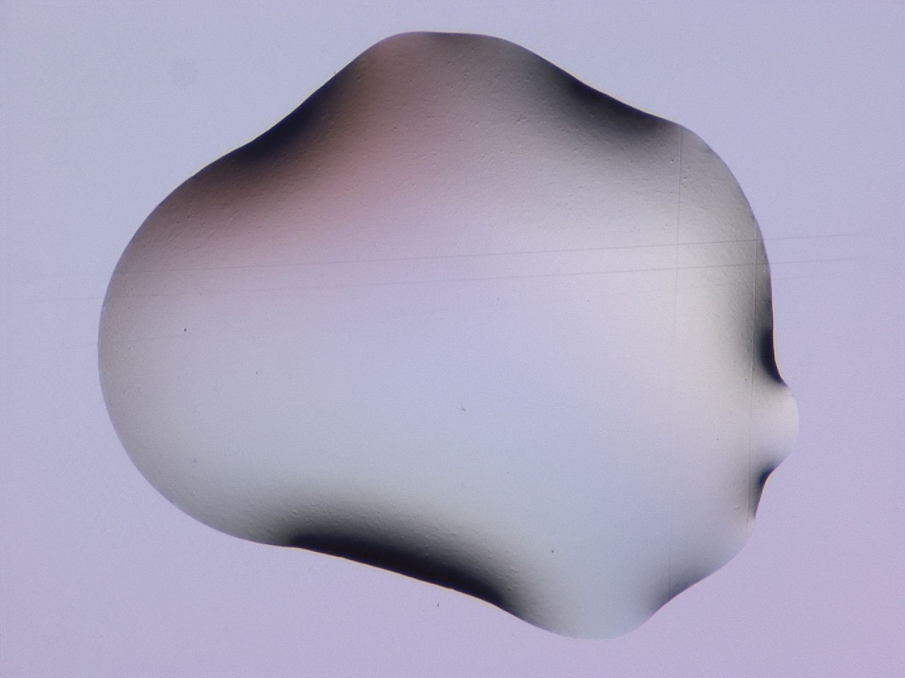 04ho_E6_ImagerDefaults_0.jpg