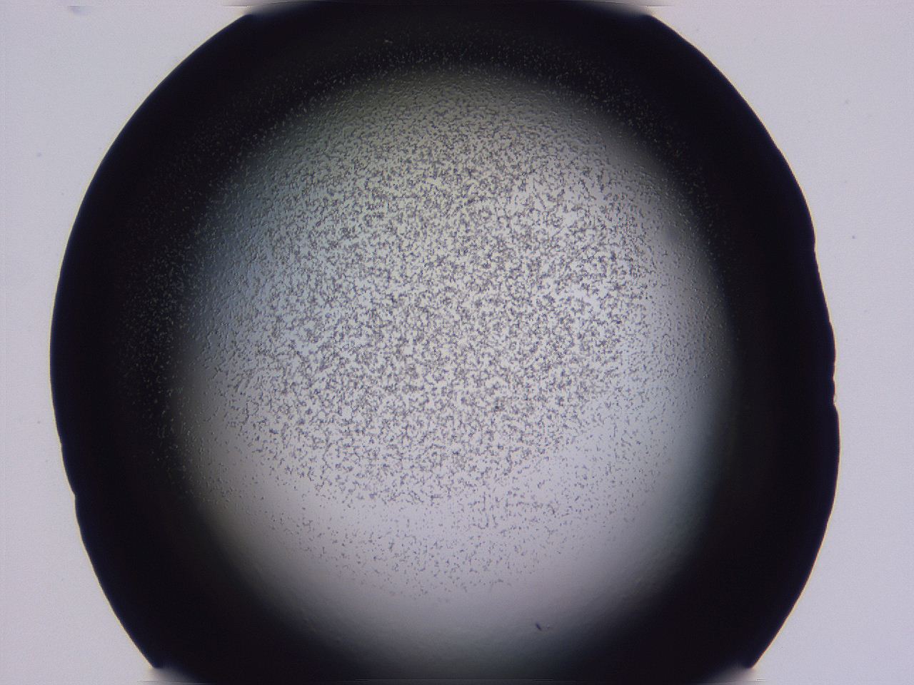 04ho_C3_ImagerDefaults_3.jpg