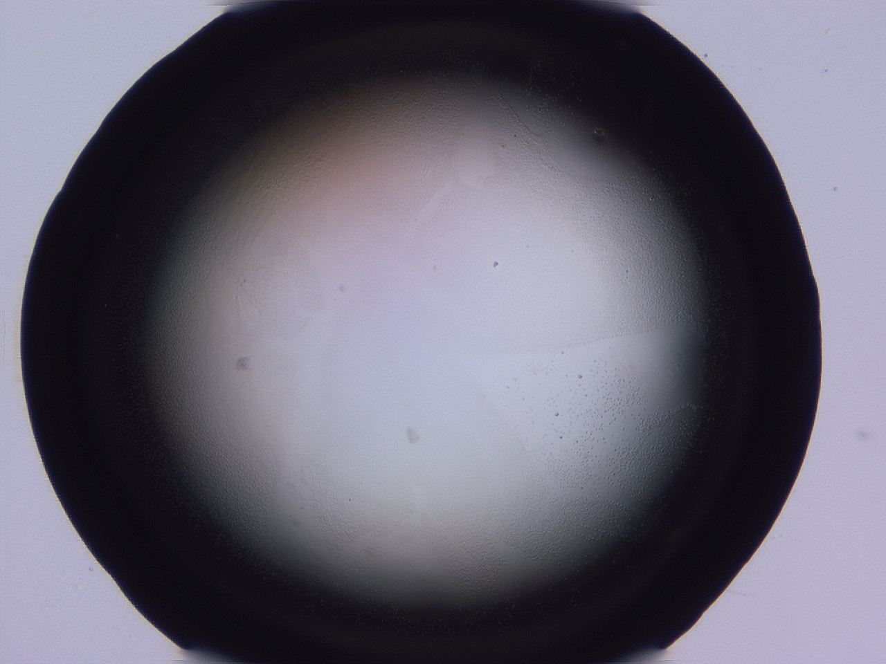 04ho_C5_ImagerDefaults_0.jpg