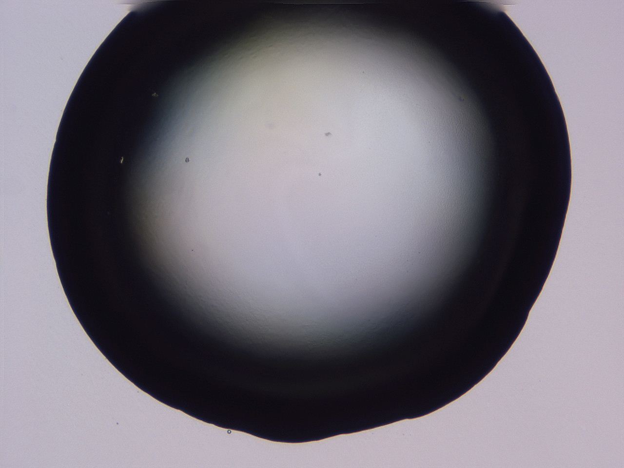 04ho_C6_ImagerDefaults_0.jpg