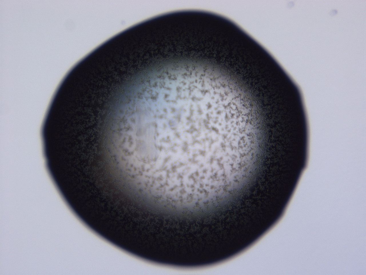 04ho_C7_ImagerDefaults_3.jpg