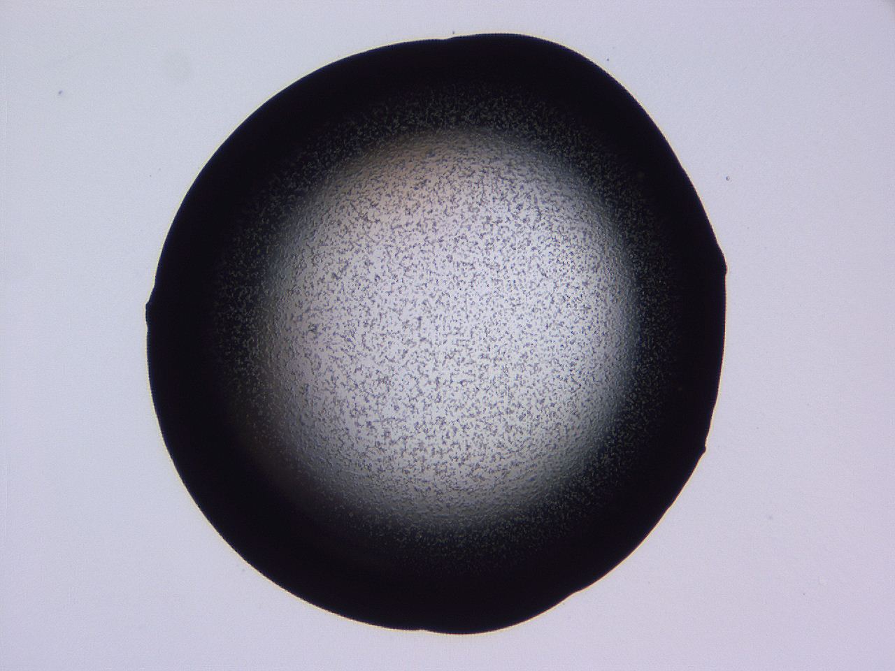 04ho_C8_ImagerDefaults_3.jpg
