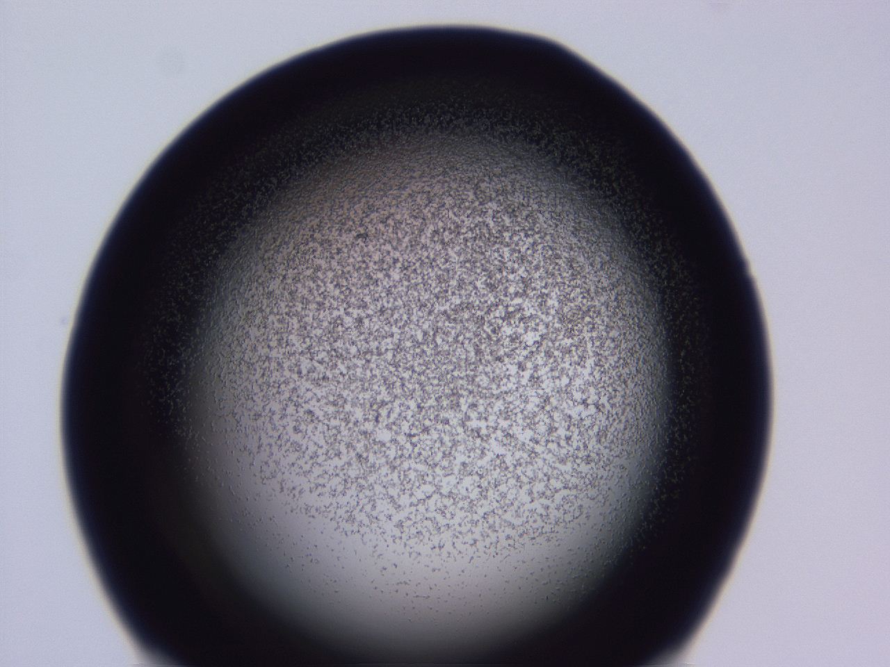 04ho_C9_ImagerDefaults_3.jpg