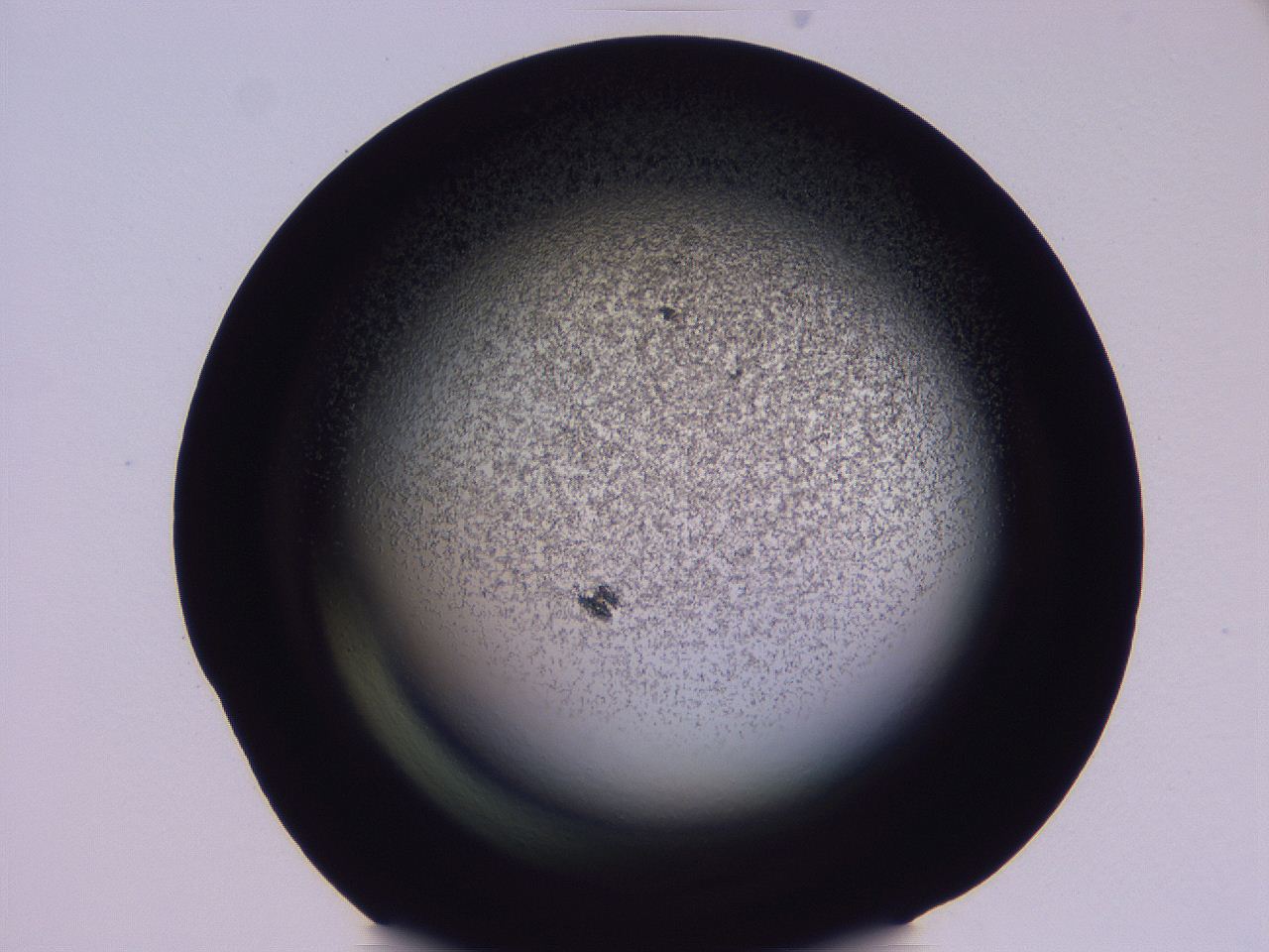04ho_C10_ImagerDefaults_3.jpg