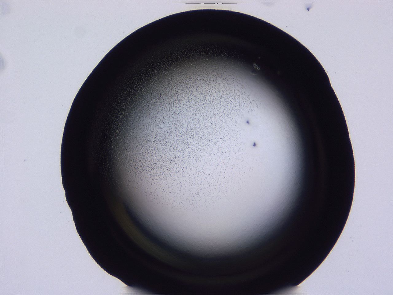 04ho_C11_ImagerDefaults_3.jpg