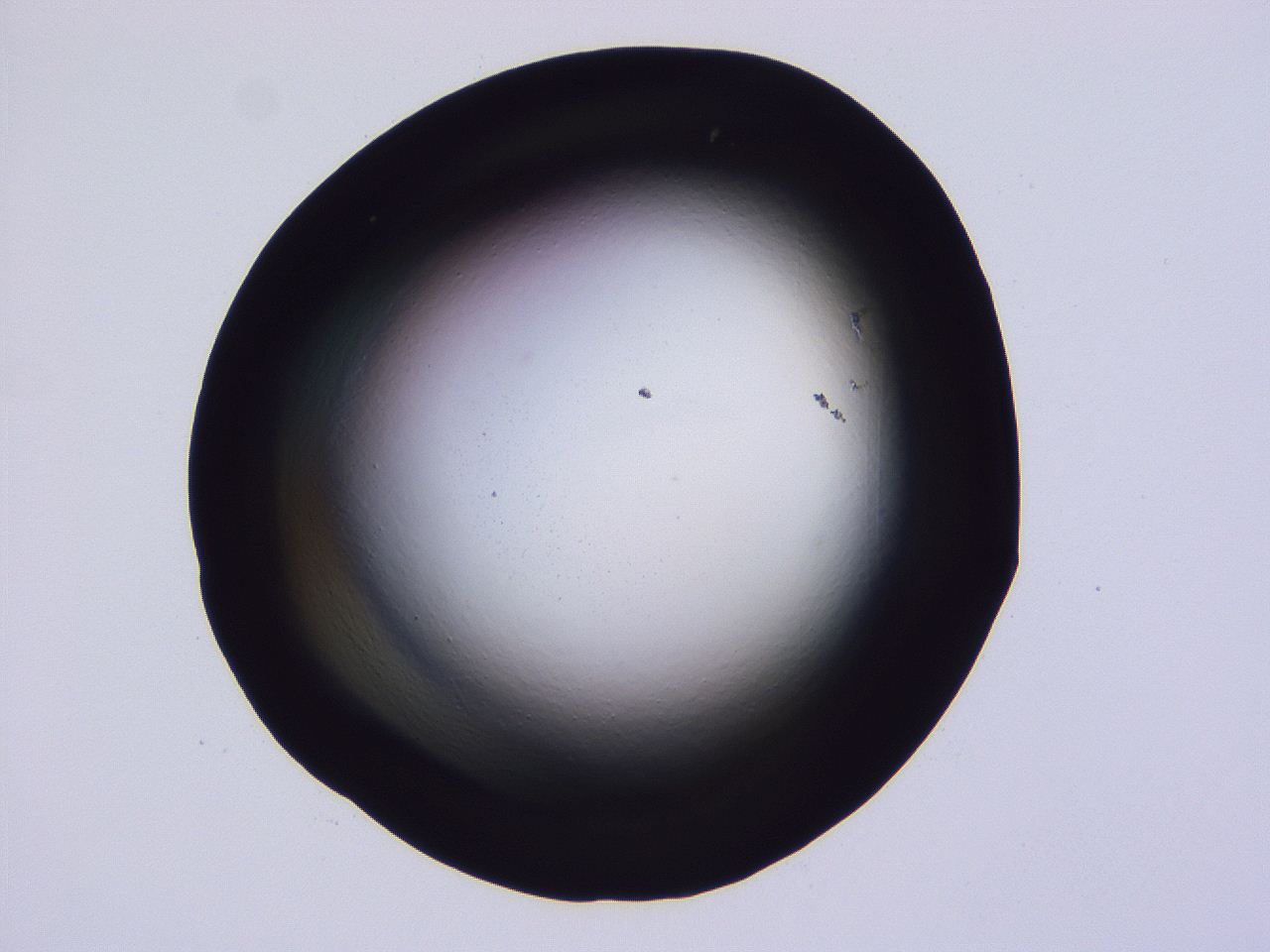 04ho_C12_ImagerDefaults_0.jpg