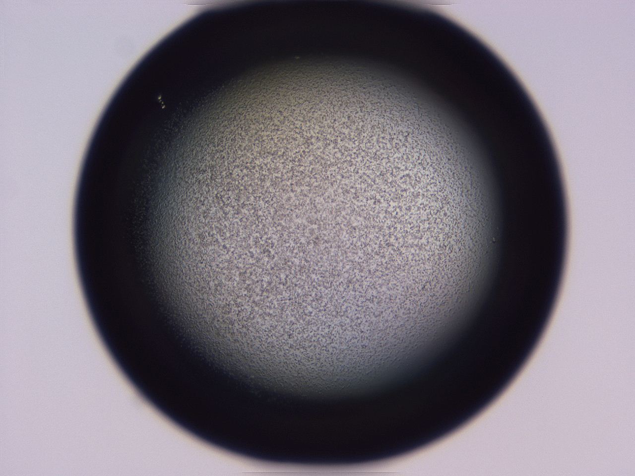 04ho_D6_ImagerDefaults_3.jpg