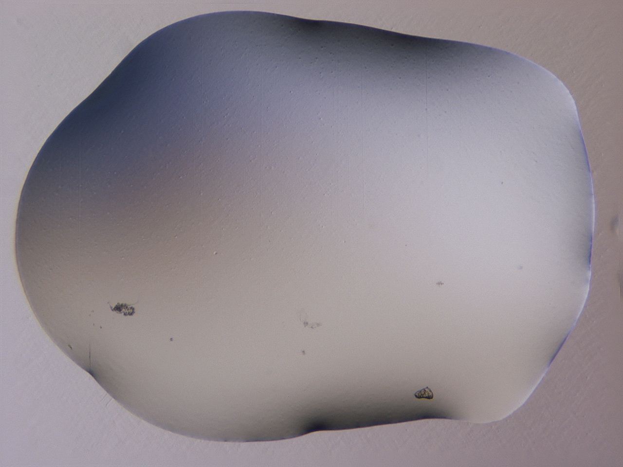 04ho_A4_ImagerDefaults_0.jpg