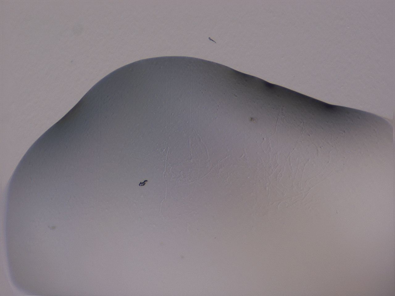 04ho_A2_ImagerDefaults_0.jpg