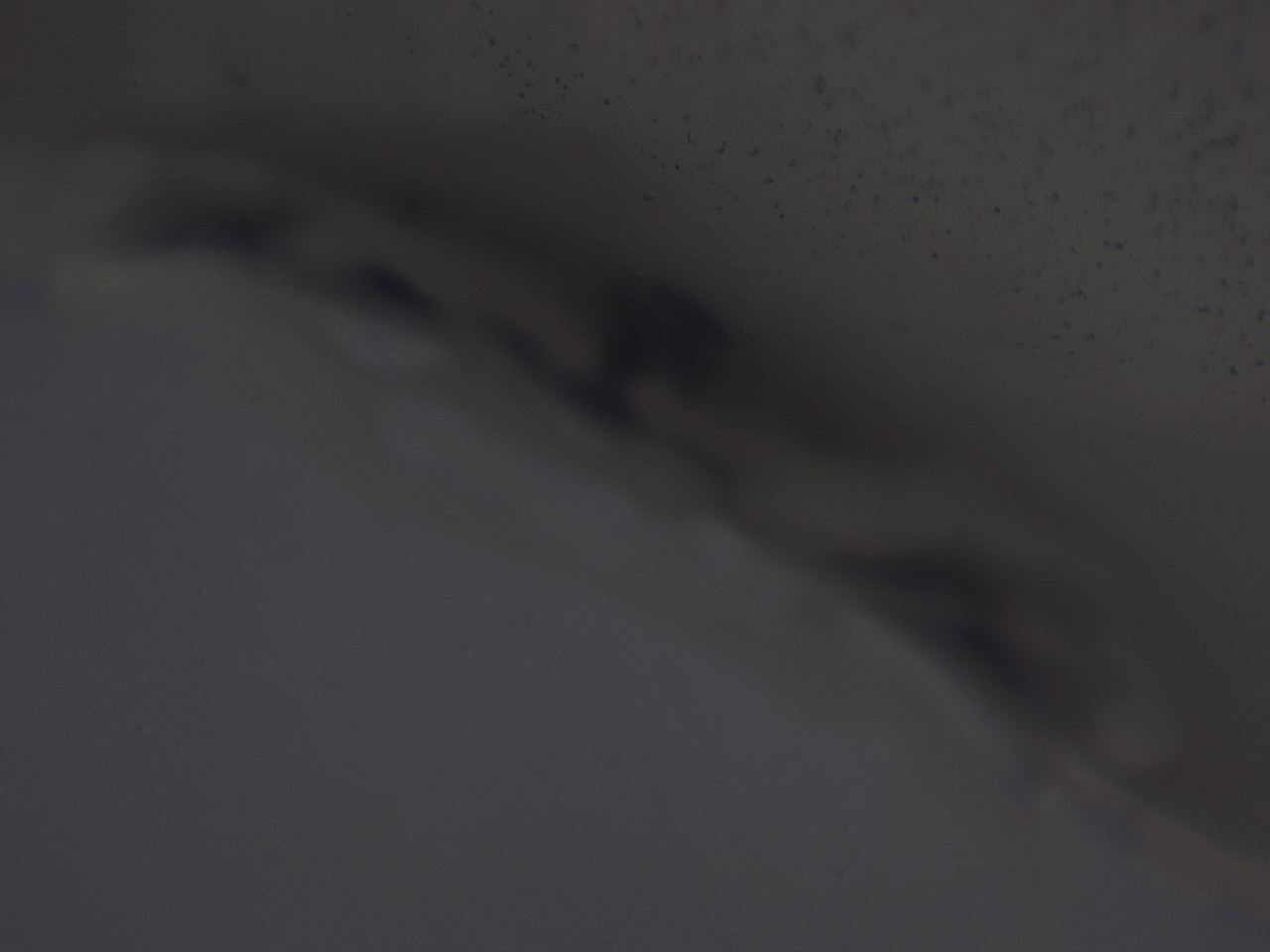 04ho_A1_ImagerDefaults_3.jpg
