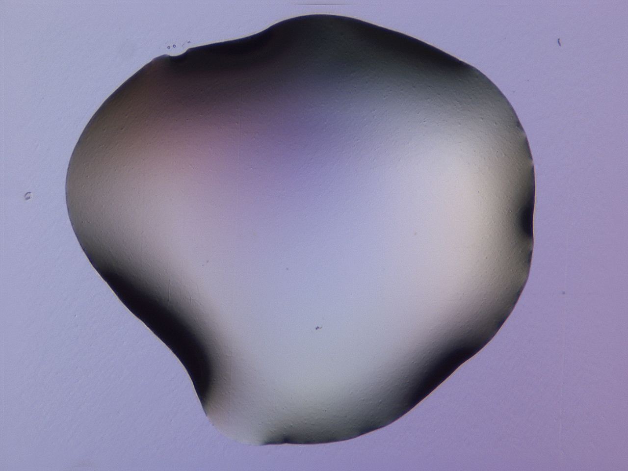 04ho_E2_ImagerDefaults_0.jpg