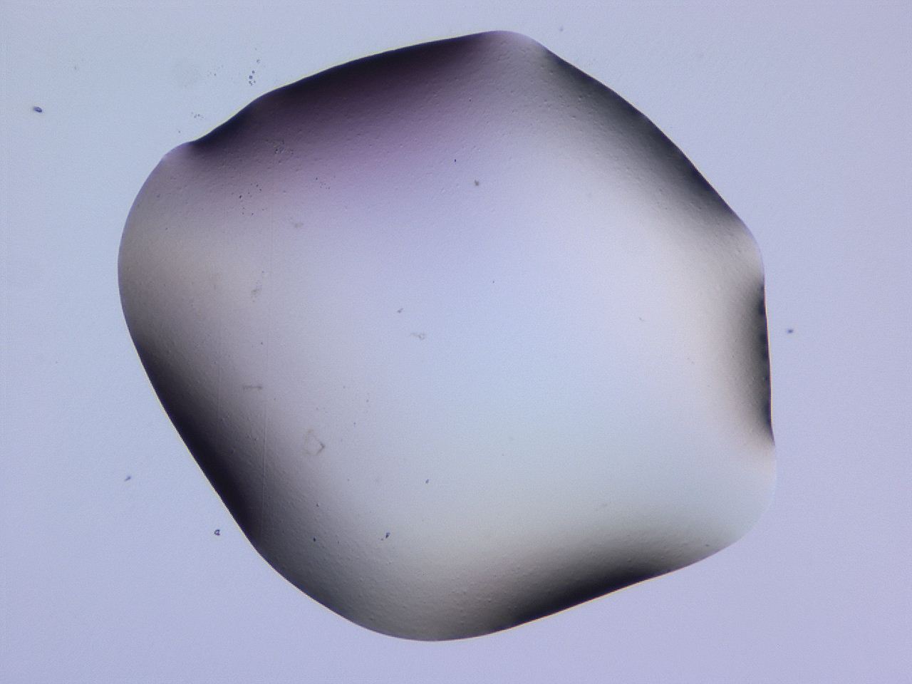 04ho_E10_ImagerDefaults_0.jpg