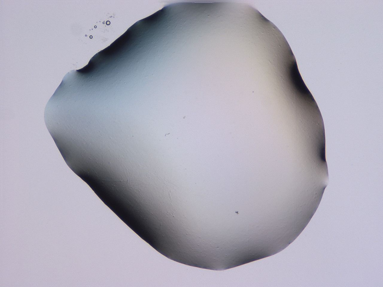 04ho_E12_ImagerDefaults_0.jpg