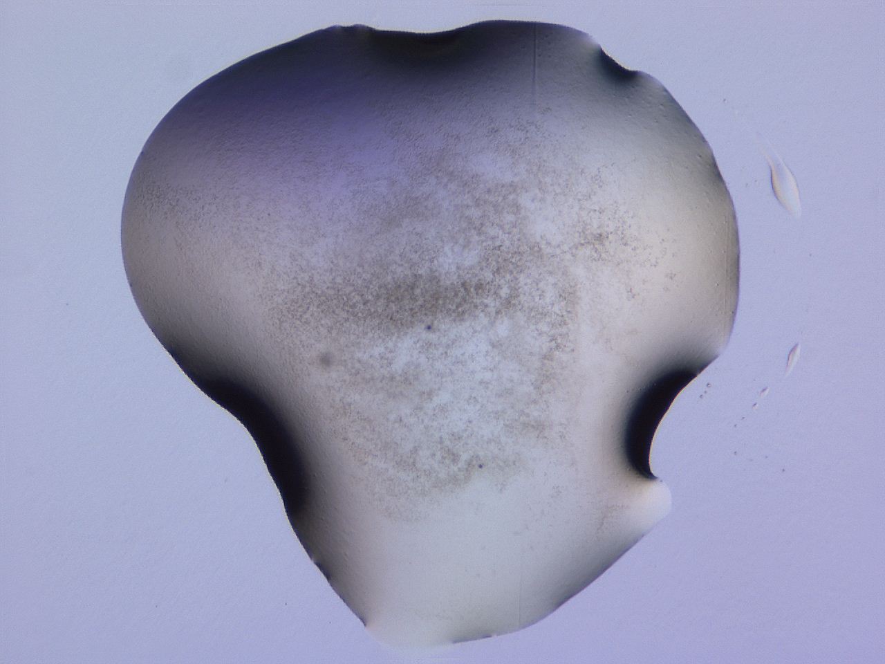 04ho_F6_ImagerDefaults_3.jpg