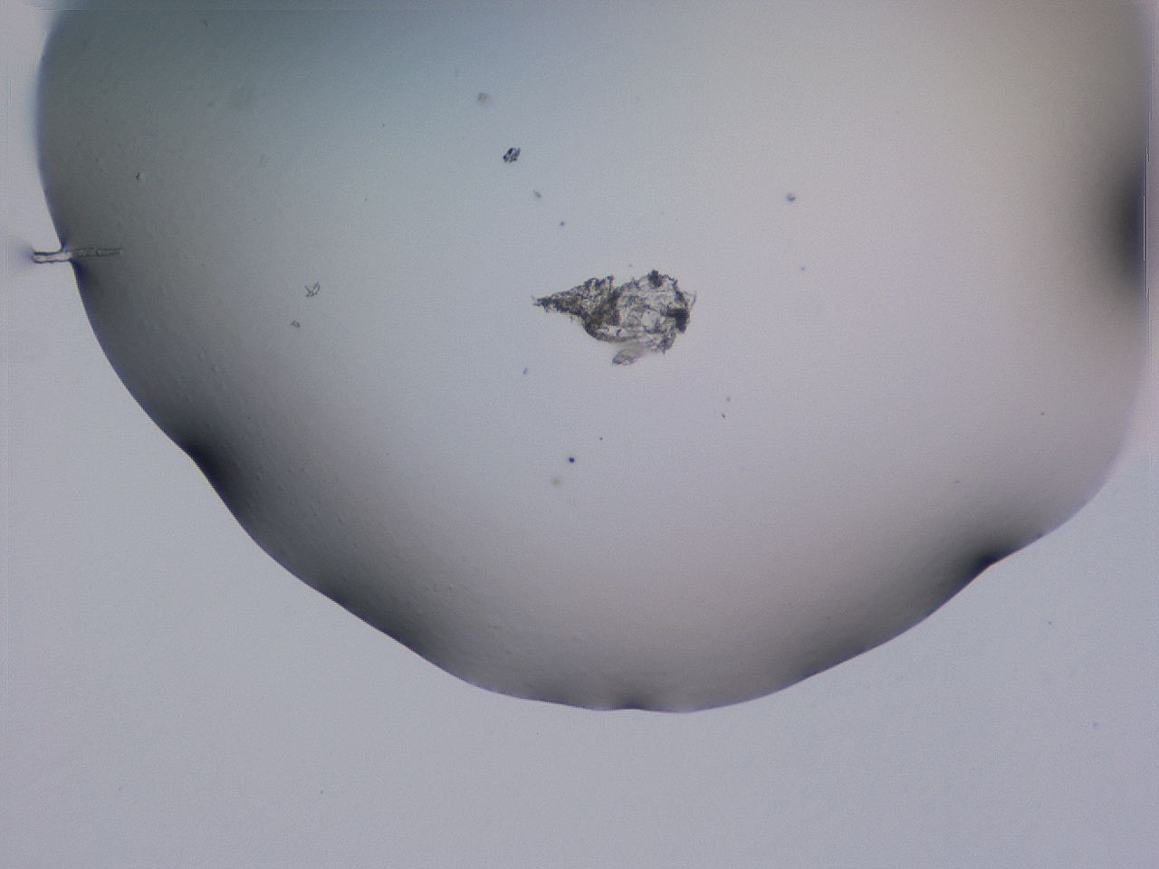 04ho_F8_ImagerDefaults_0.jpg