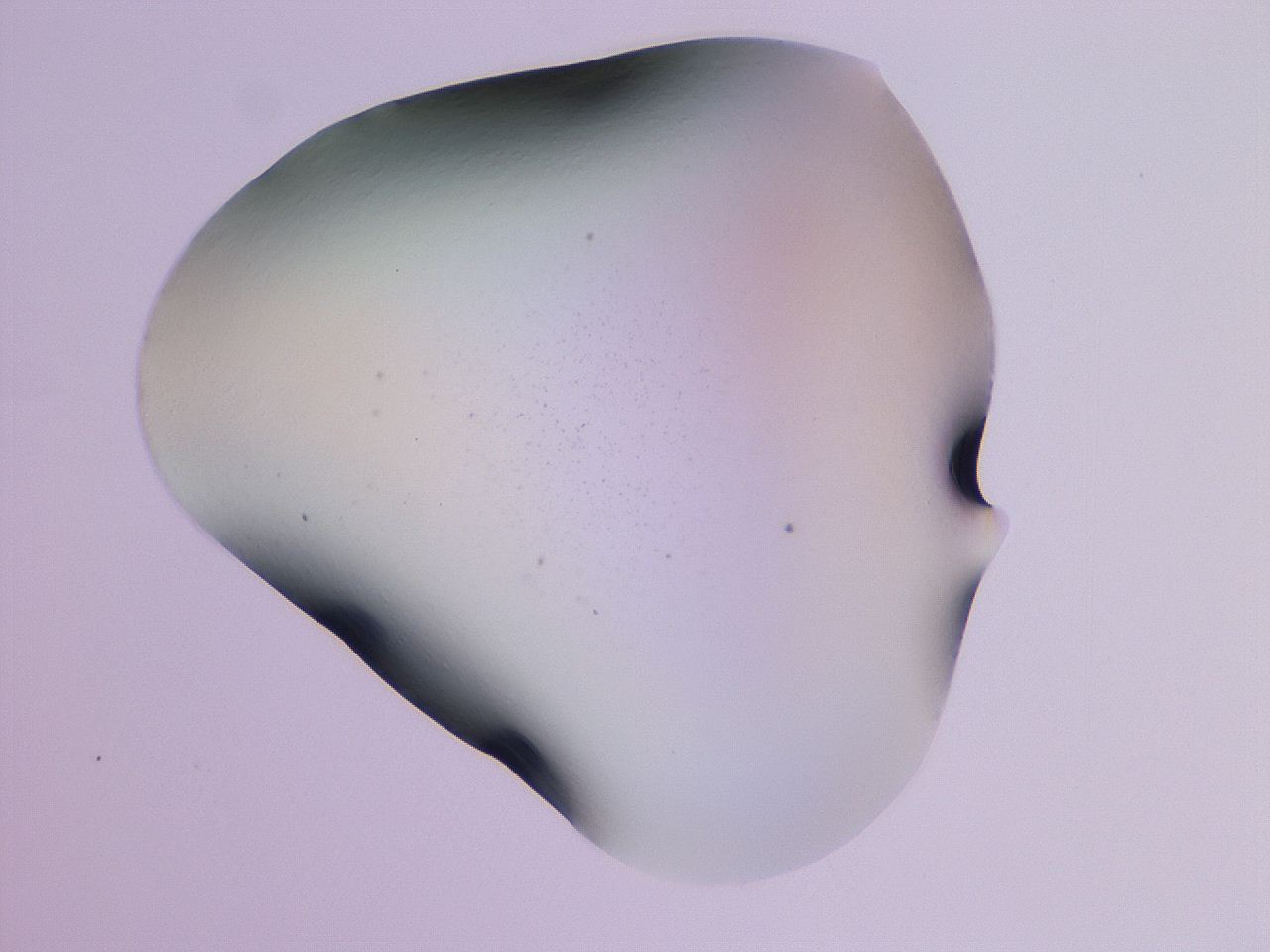04ho_G7_ImagerDefaults_0.jpg