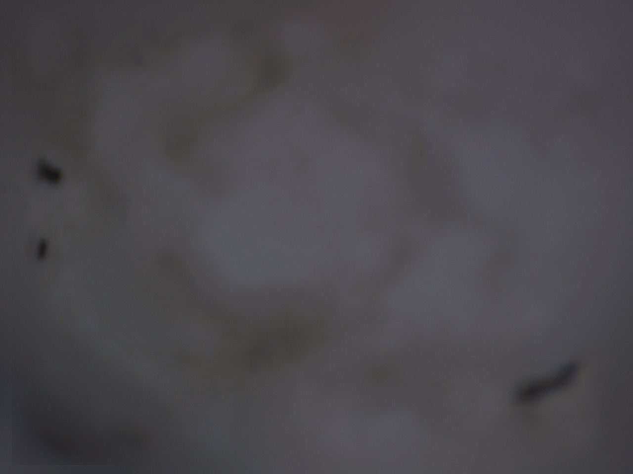 04ho_G11_ImagerDefaults_3.jpg