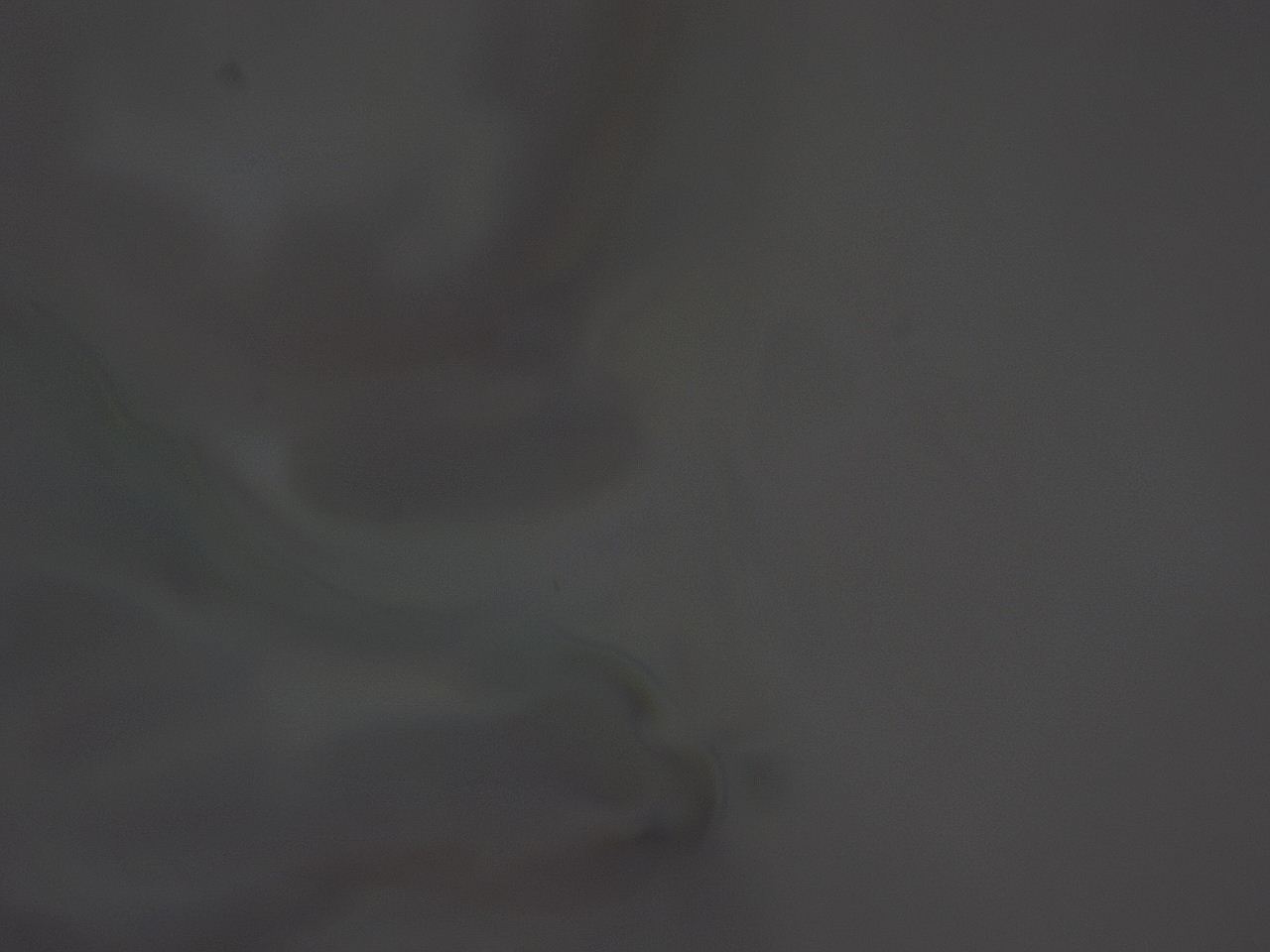 04ho_H6_ImagerDefaults_3.jpg