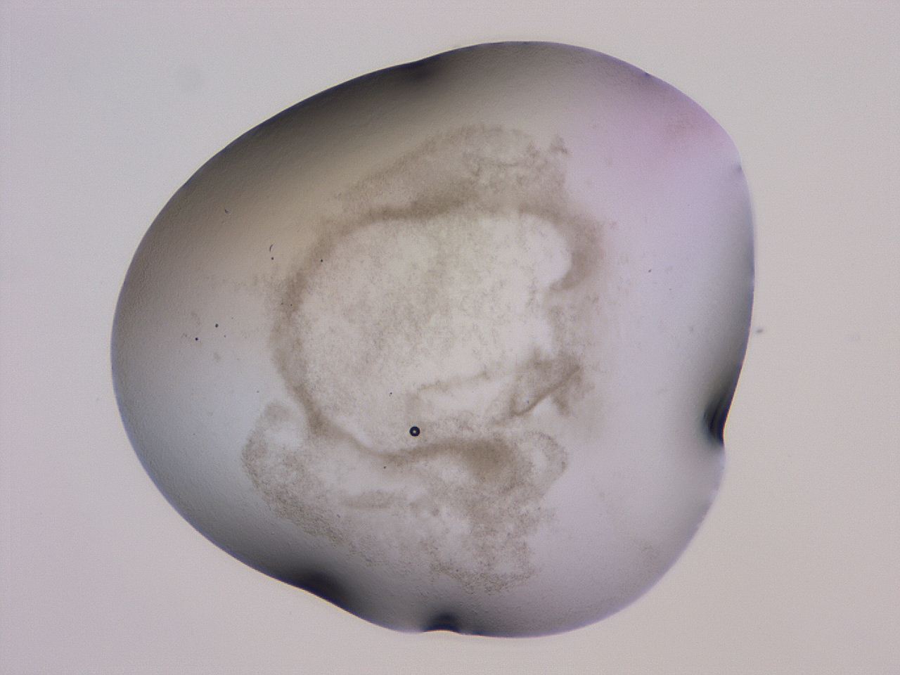 04ho_H10_ImagerDefaults_3.jpg