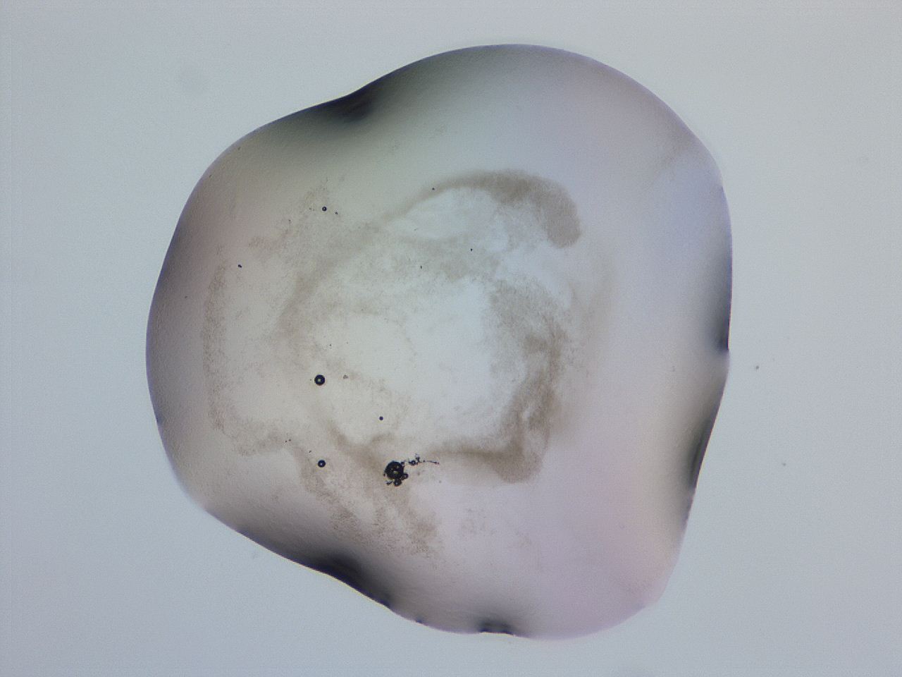 04ho_H11_ImagerDefaults_3.jpg