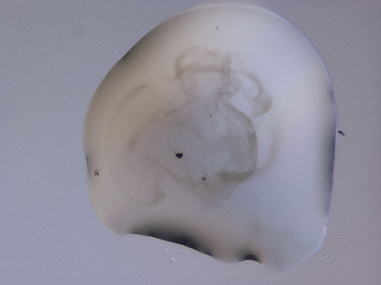 04ho_H12_ImagerDefaults_3.jpg
