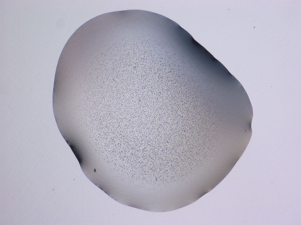 04hp_A12_ImagerDefaults_3.jpg