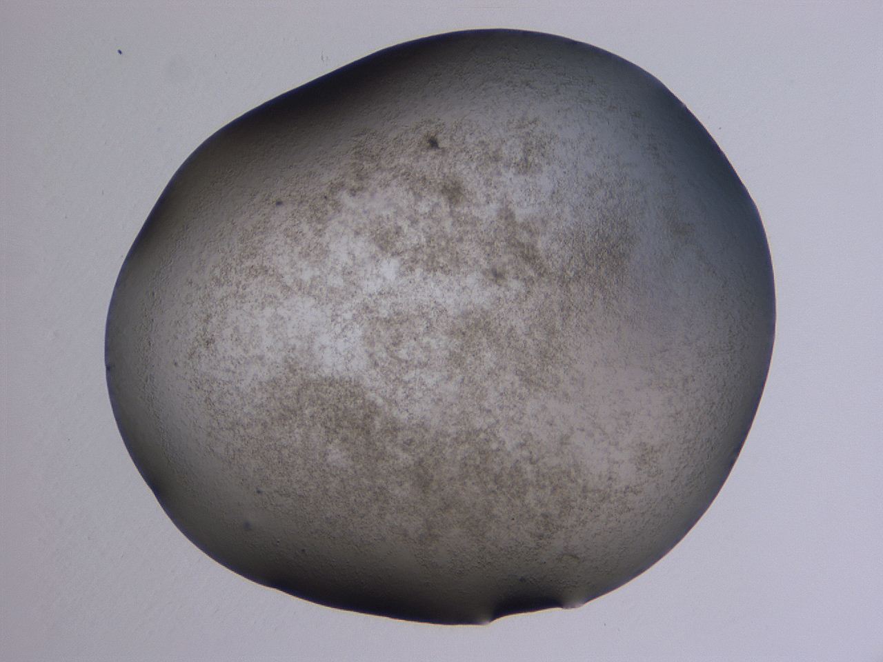 04hp_A11_ImagerDefaults_3.jpg
