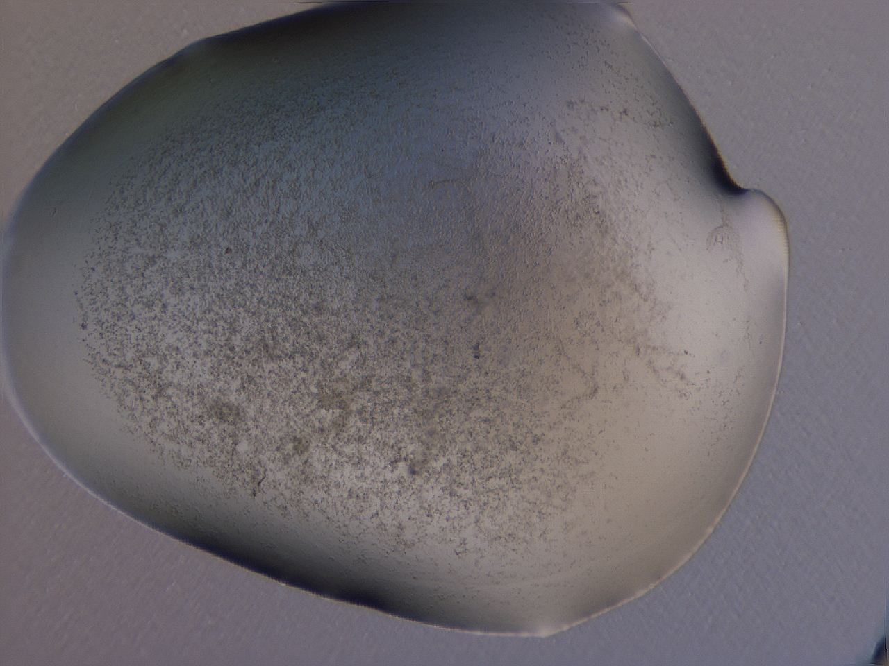 04hp_A10_ImagerDefaults_3.jpg