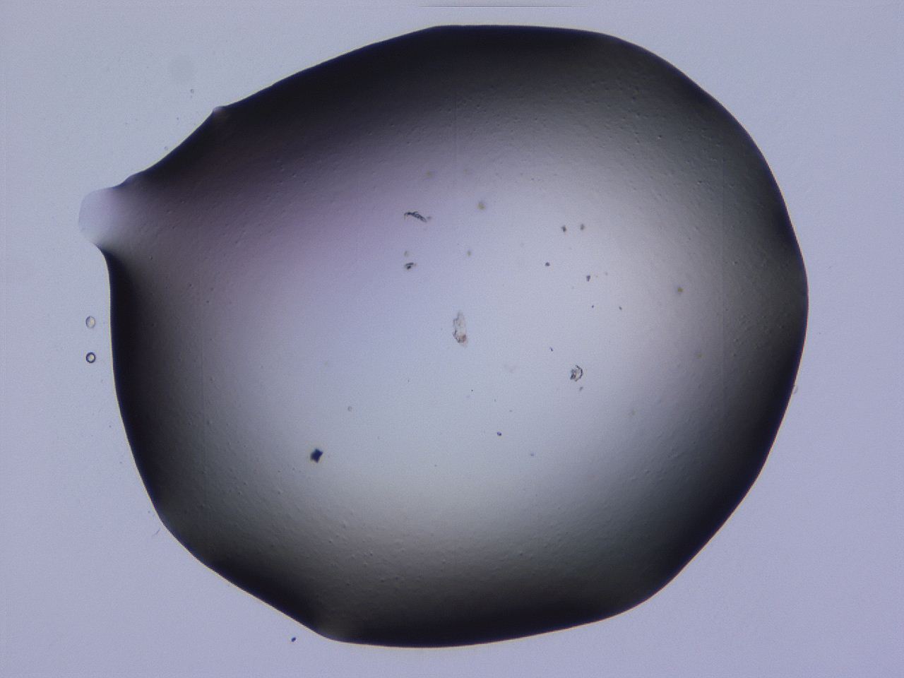 04hp_C1_ImagerDefaults_0.jpg