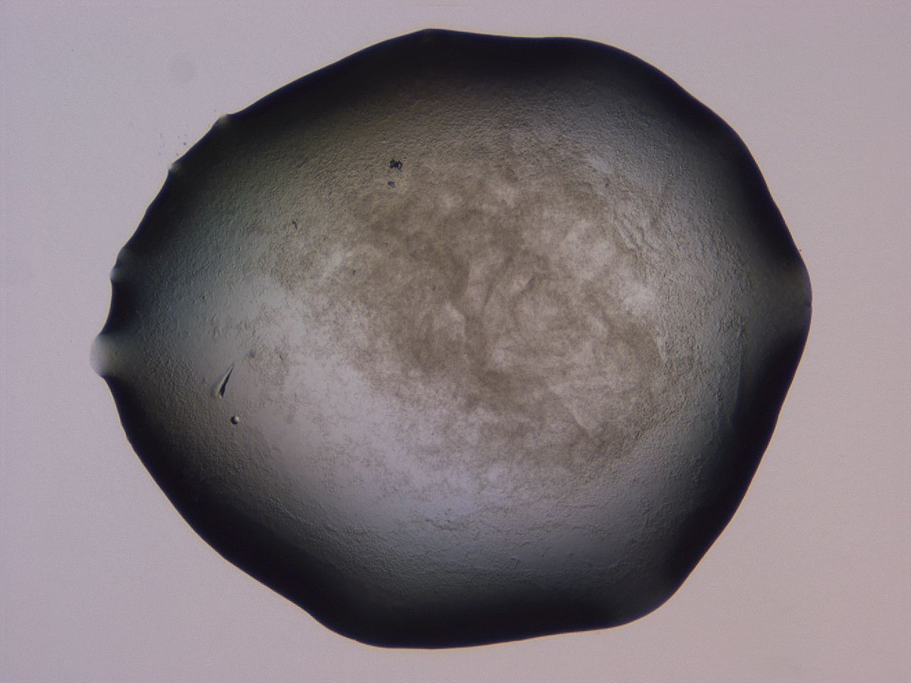 04hp_C2_ImagerDefaults_3.jpg